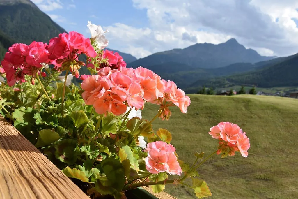 Apartment Appartement Belmonte Solden Austria